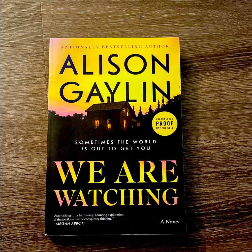 We Are Watching Novel by Alison Gaylin